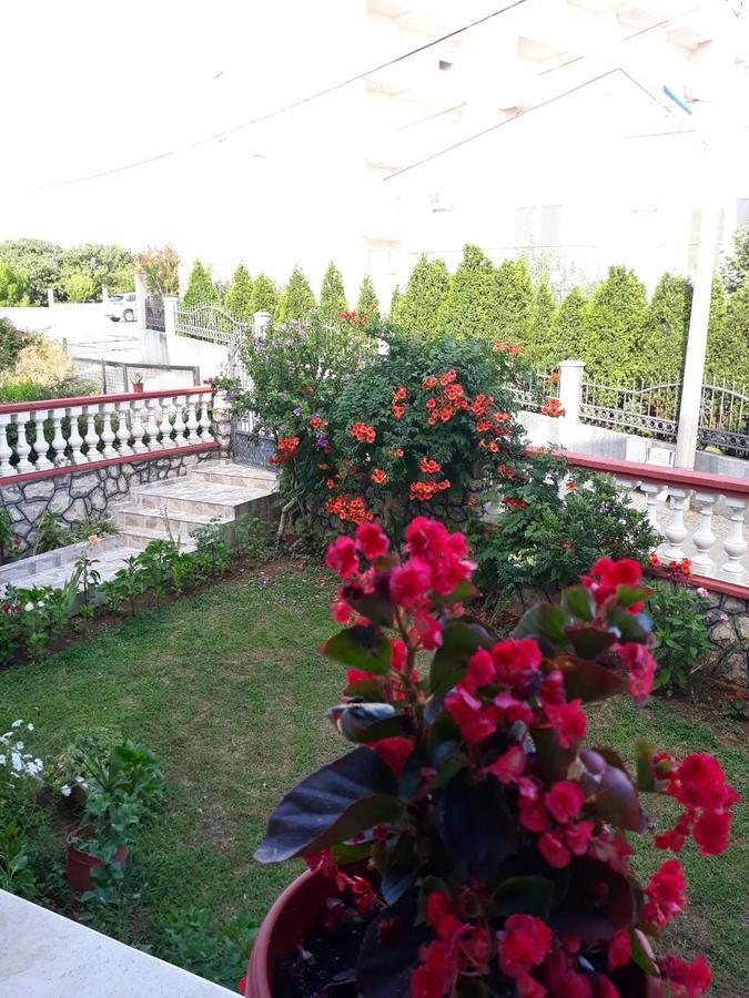 Alvanita Apartments Ulcinj Luaran gambar