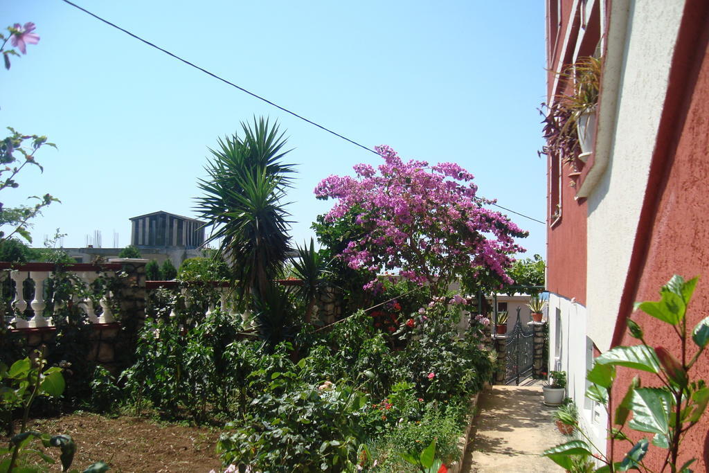 Alvanita Apartments Ulcinj Luaran gambar